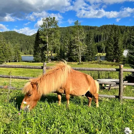 Appartement Hillside In The Heart Of Tamsweg, Perfect Retreat For A Cozy In The Valley *